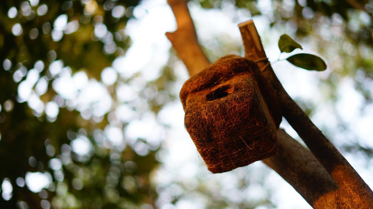 A woven, pouch-shaped bird nest hanging from a tree branch, with green leaves and blurred sunlight filtering through the background.