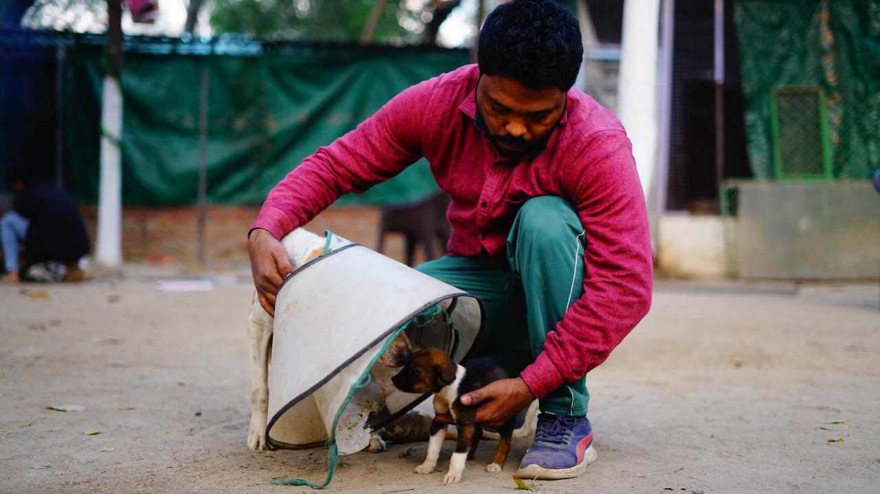 Man Helping a Small Puppy at Outdoors