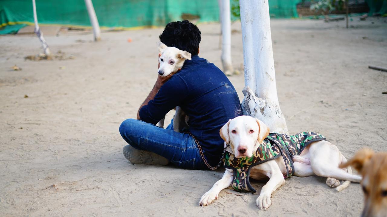 A Safe Haven in NOIDA